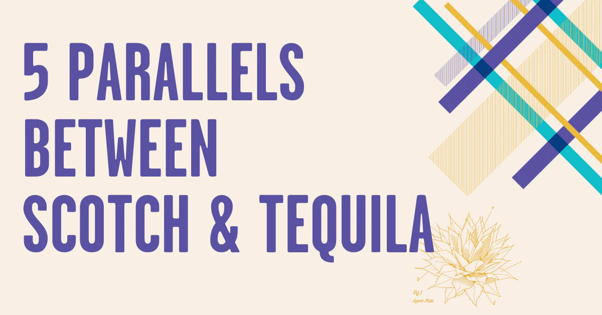 5 Parallels between Scotch and Tequila