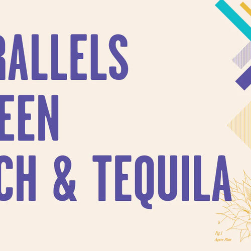 5 Parallels between Scotch and Tequila